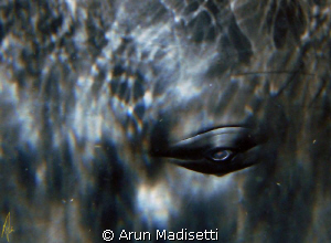 normally an image of an eyeball would be macro, not in th... by Arun Madisetti 